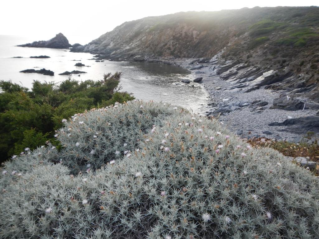 ستينتينو Monte Atena B&B Di Charme المظهر الخارجي الصورة
