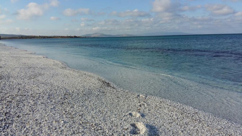 ستينتينو Monte Atena B&B Di Charme المظهر الخارجي الصورة